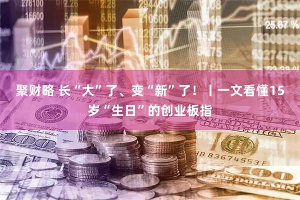 聚财略 长“大”了、变“新”了！丨一文看懂15岁“生日”的创业板指