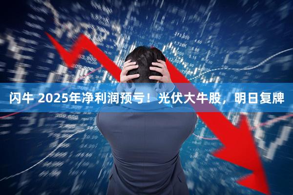 闪牛 2025年净利润预亏!光伏大牛股,明日复牌