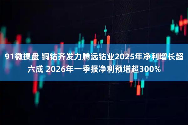 91微操盘 铜钴齐发力腾远钴业2025年净利增长超六成 2026年一季报净利预增超300%
